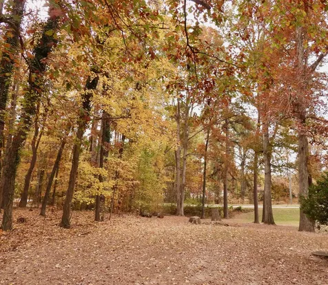 3007 Old Raleigh Road Apex NC 27502