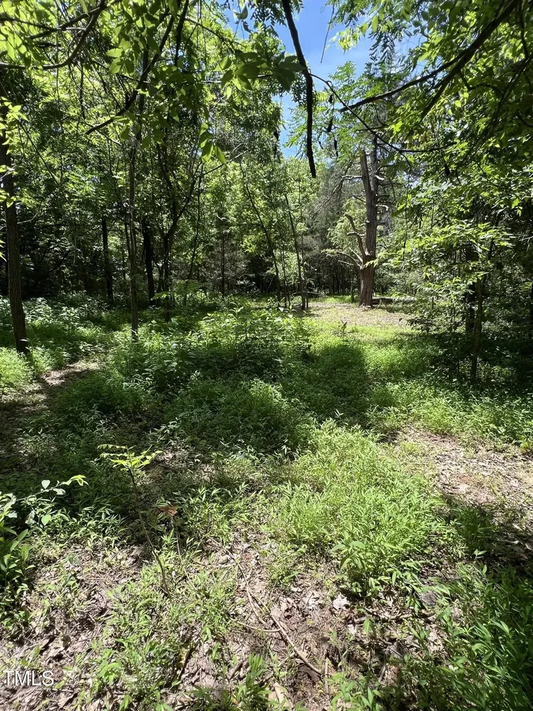 2201 Moorefields Road Hillsborough NC 27278