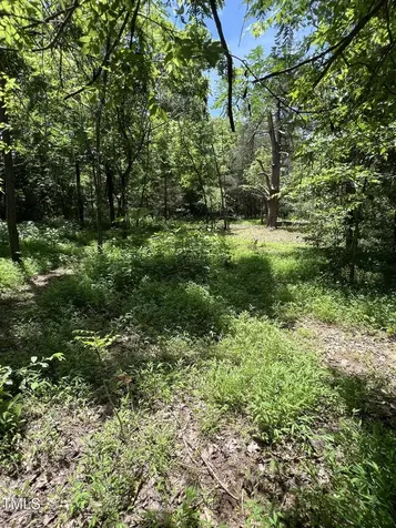 2201 Moorefields Road Hillsborough NC 27278