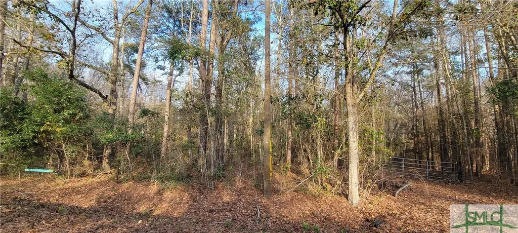 0 Pine Needle Drive Ellabell GA 31308