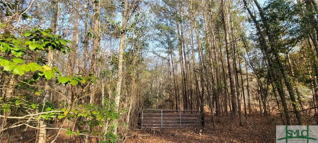 0 Pine Needle Drive Ellabell GA 31308