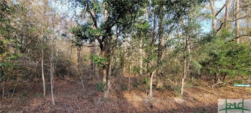 0 Pine Needle Drive Ellabell GA 31308