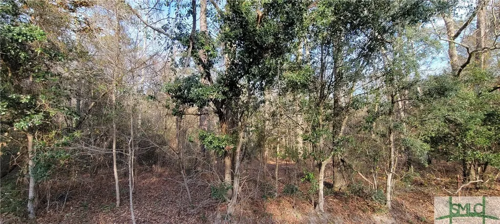 0 Pine Needle Drive Ellabell GA 31308