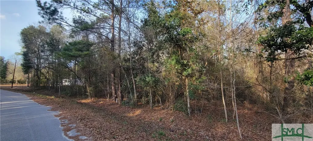 0 Pine Needle Drive Ellabell GA 31308