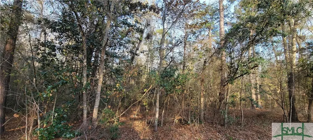 0 Pine Needle Drive Ellabell GA 31308