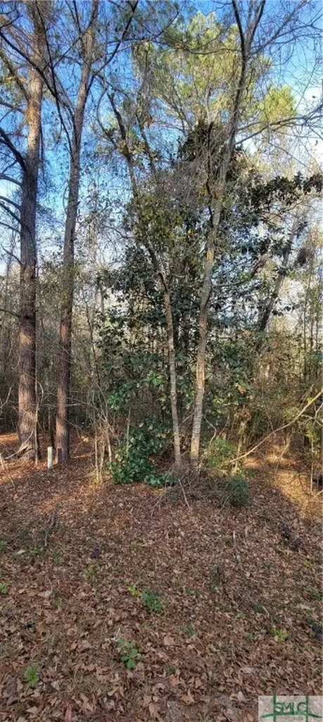 0 Pine Needle Drive Ellabell GA 31308