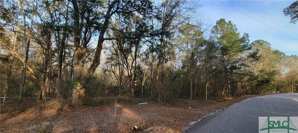 0 Pine Needle Drive Ellabell GA 31308
