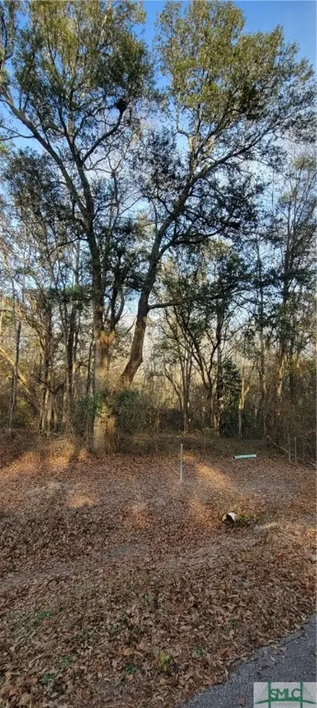 0 Pine Needle Drive Ellabell GA 31308