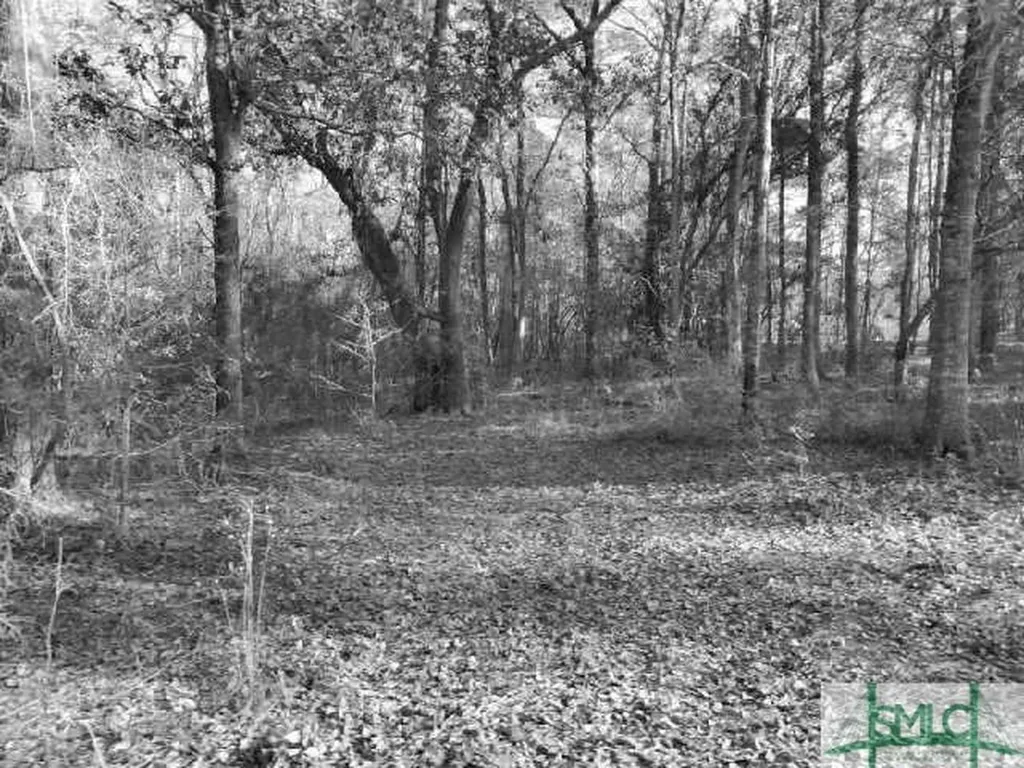 0 Pine Needle Drive Ellabell GA 31308