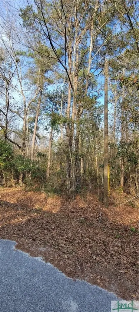 0 Pine Needle Drive Ellabell GA 31308