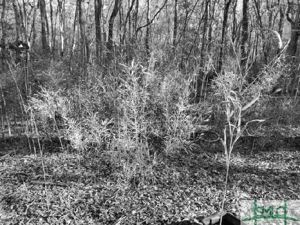 0 Pine Needle Drive Ellabell GA 31308