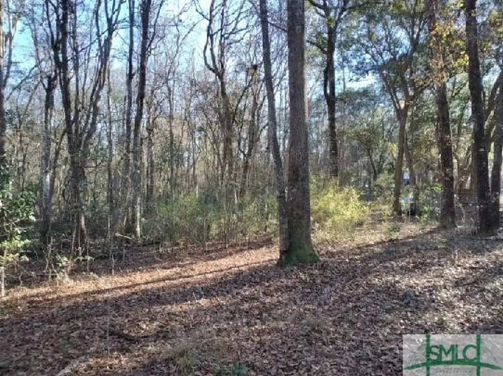 0 Pine Needle Drive Ellabell GA 31308