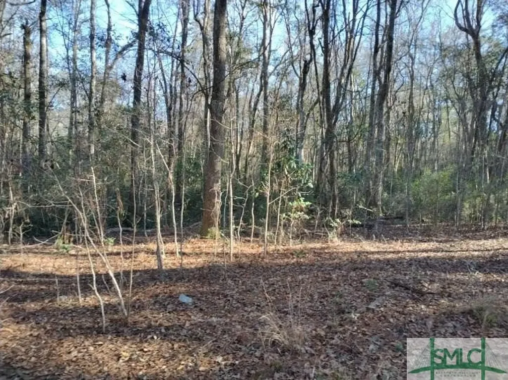 0 Pine Needle Drive Ellabell GA 31308