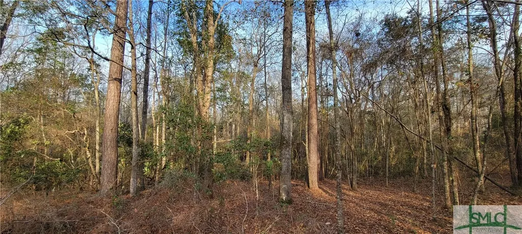 0 Pine Needle Drive Ellabell GA 31308