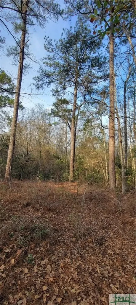 0 Pine Needle Drive Ellabell GA 31308