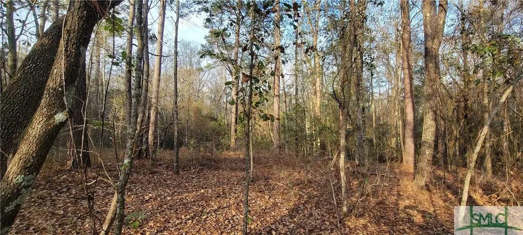 0 Pine Needle Drive Ellabell GA 31308