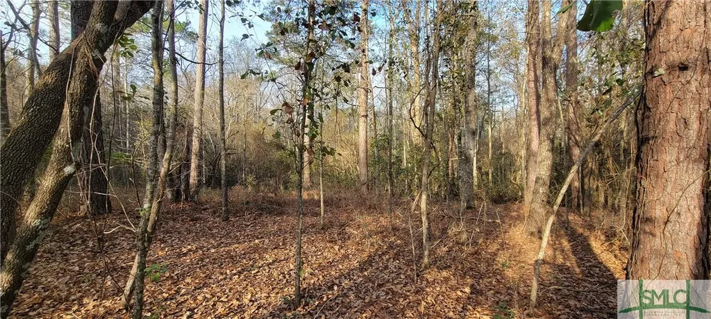 0 Pine Needle Drive Ellabell GA 31308