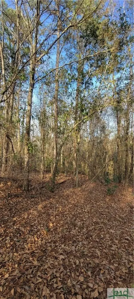 0 Pine Needle Drive Ellabell GA 31308