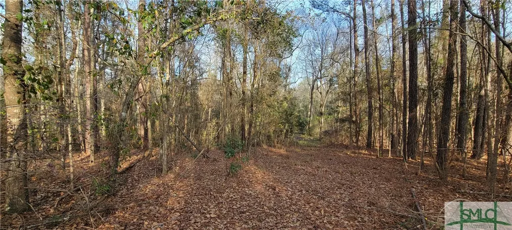 0 Pine Needle Drive Ellabell GA 31308