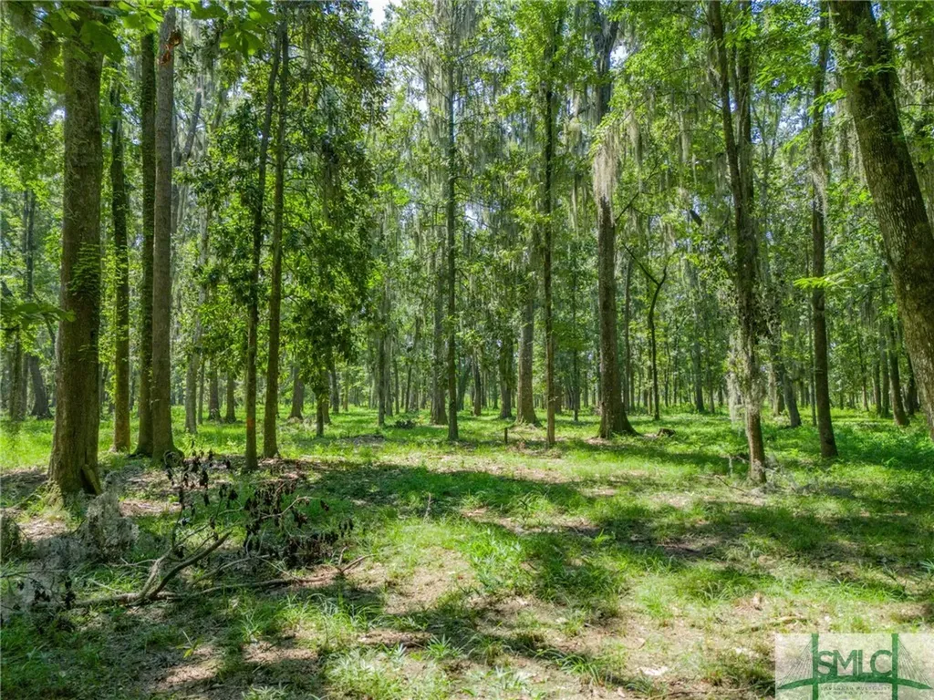 312 Mcallister Landing Richmond Hill GA 31324