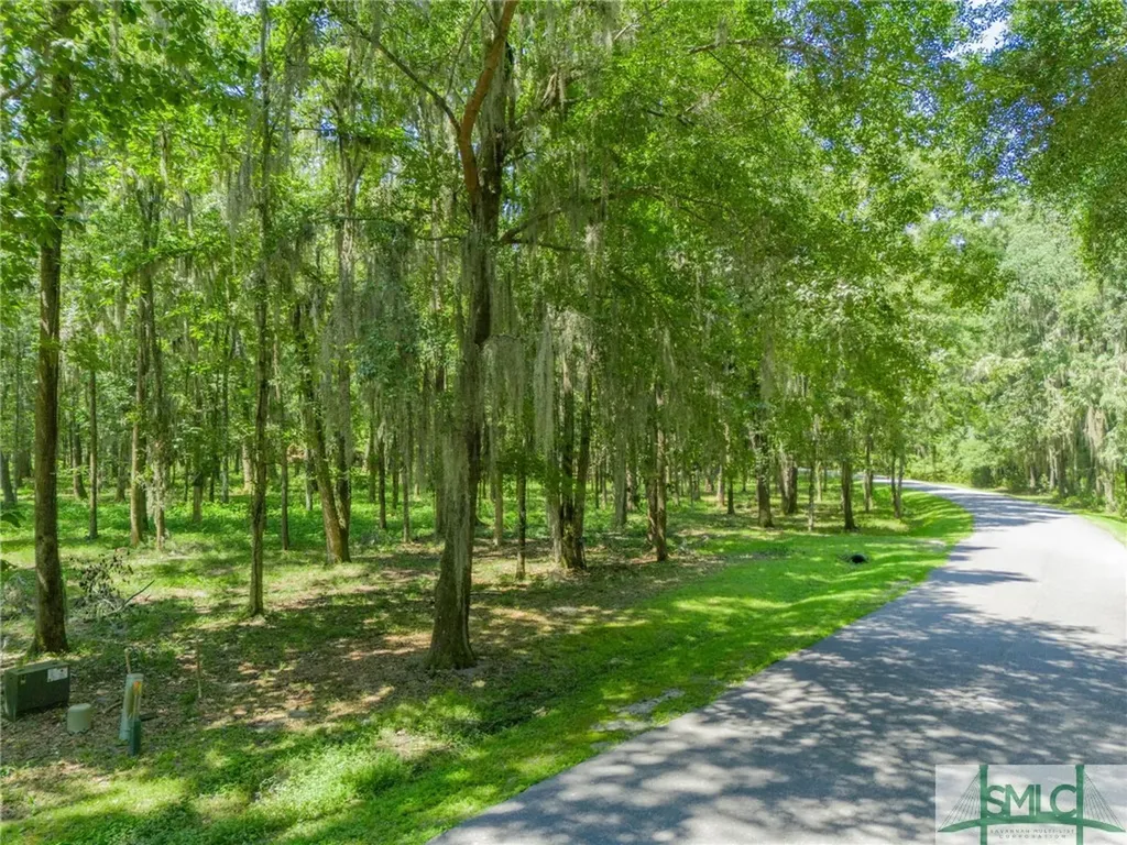 312 Mcallister Landing Richmond Hill GA 31324