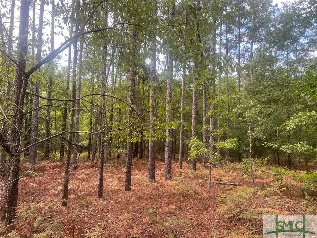 000 Scuffletown Road Twin City GA 30471