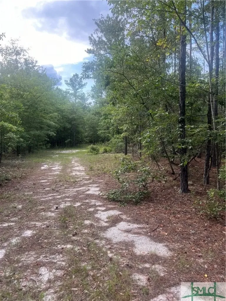 000 Scuffletown Road Twin City GA 30471