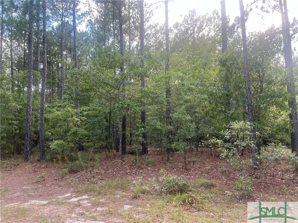 000 Scuffletown Road Twin City GA 30471