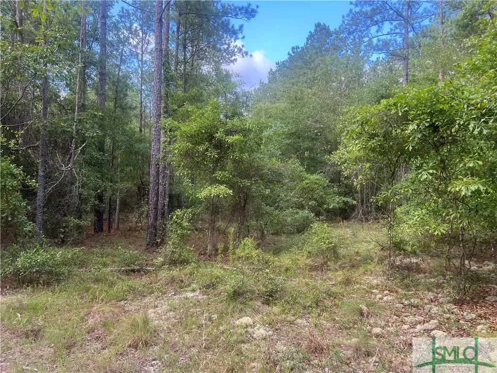 000 Scuffletown Road Twin City GA 30471