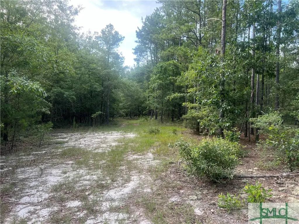 000 Scuffletown Road Twin City GA 30471