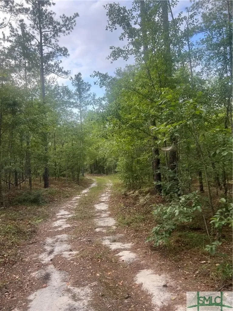 000 Scuffletown Road Twin City GA 30471