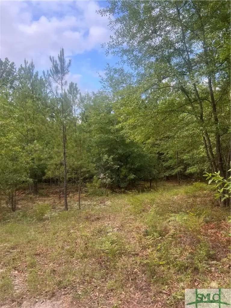 000 Scuffletown Road Twin City GA 30471