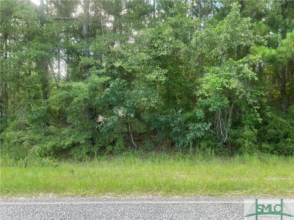 000 Scuffletown Road Twin City GA 30471