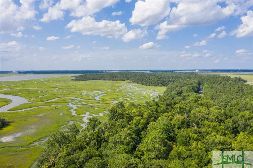 41 Gray Heron Retreat Savannah GA 31411