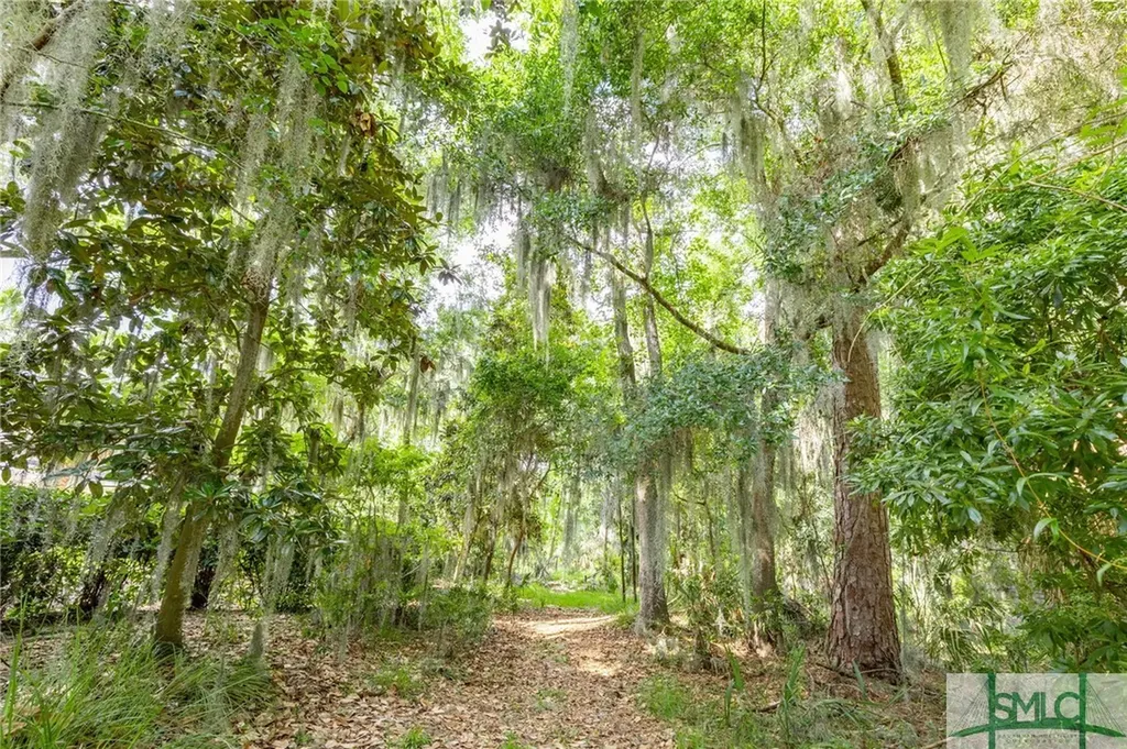41 Gray Heron Retreat Savannah GA 31411