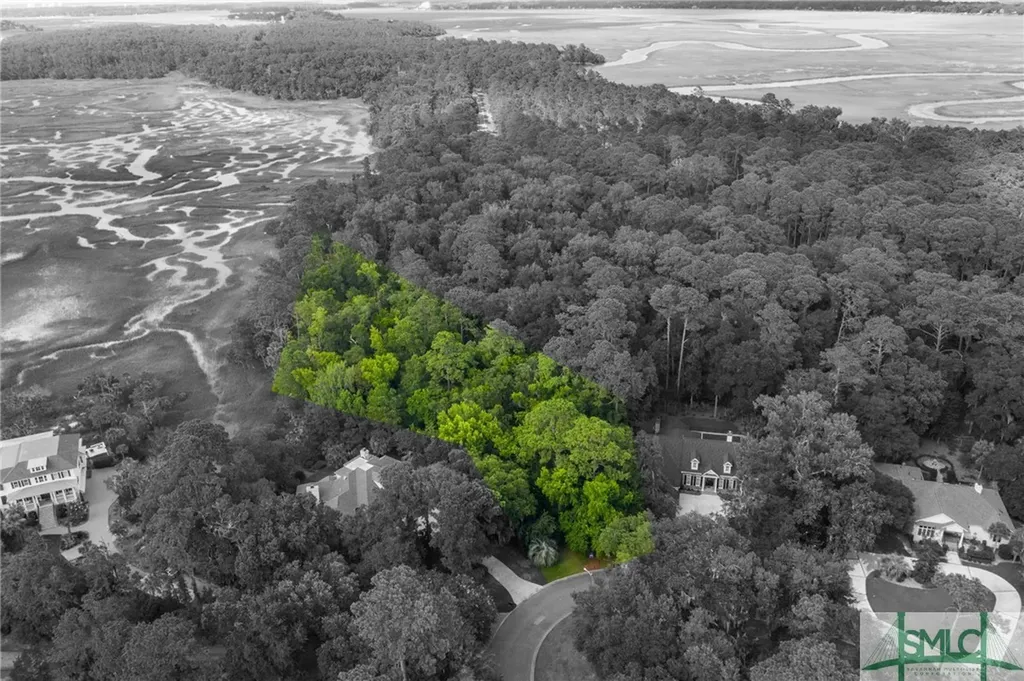 41 Gray Heron Retreat Savannah GA 31411