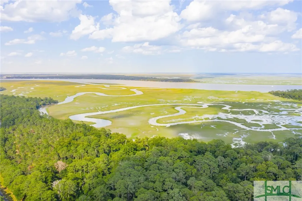 41 Gray Heron Retreat Savannah GA 31411