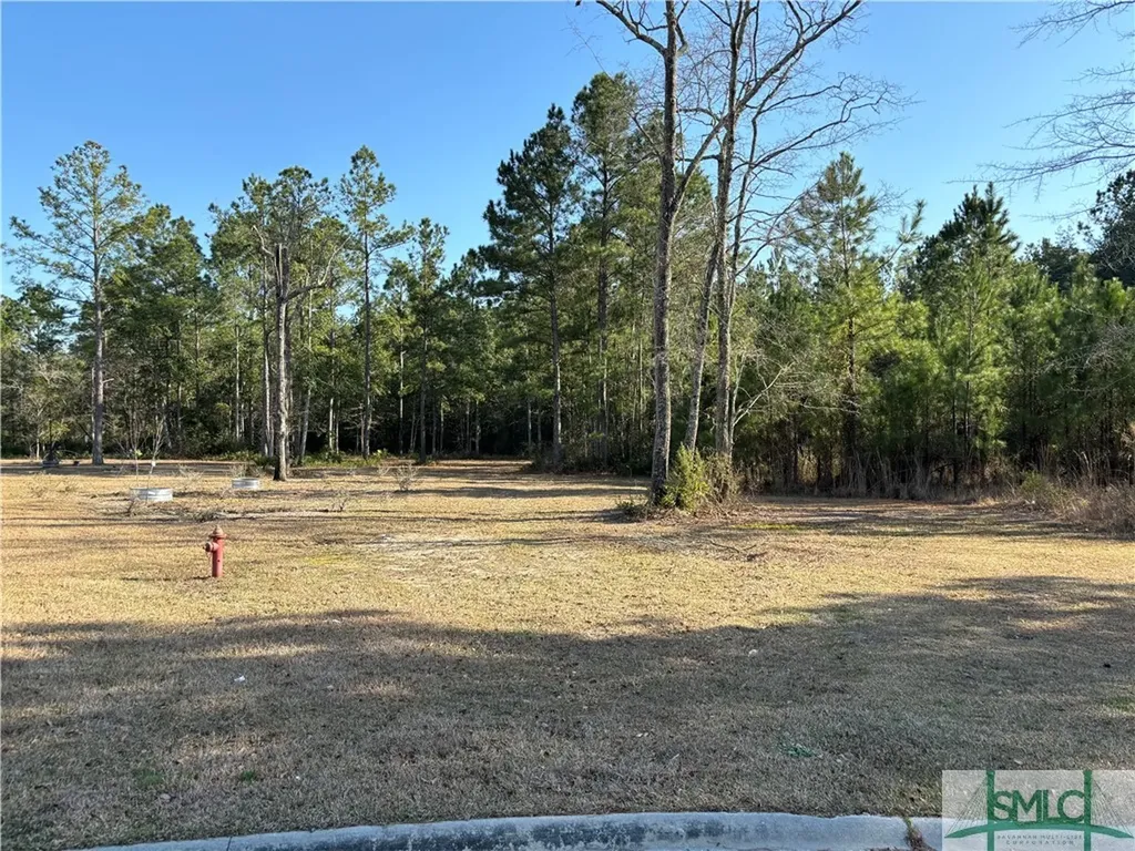 206 Lennox Place Rincon GA 31326