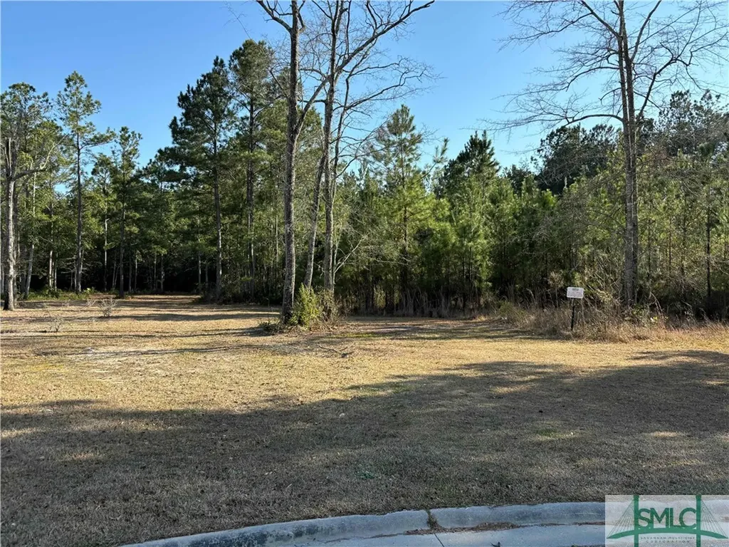 206 Lennox Place Rincon GA 31326