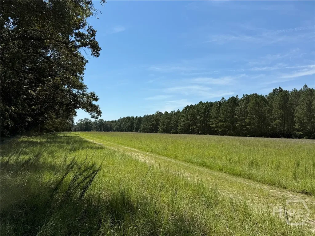 0 Sunbury Road Claxton GA 30417