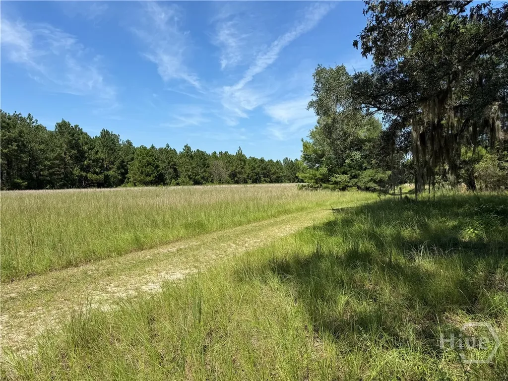 0 Sunbury Road Claxton GA 30417