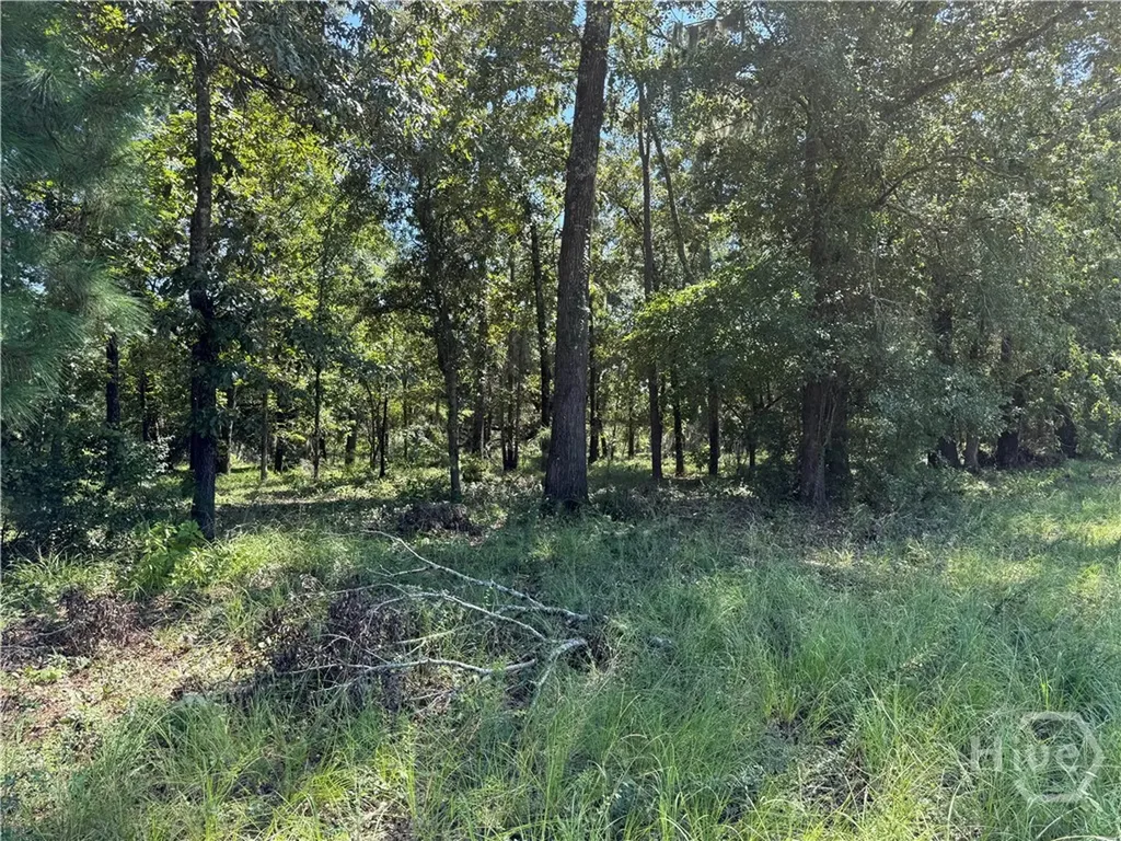 0 Sunbury Road Claxton GA 30417