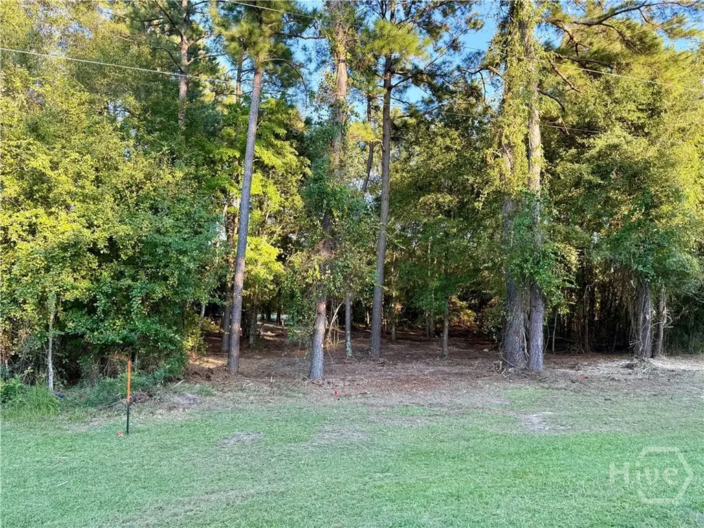 0 Friendship Road Sylvania GA 30467