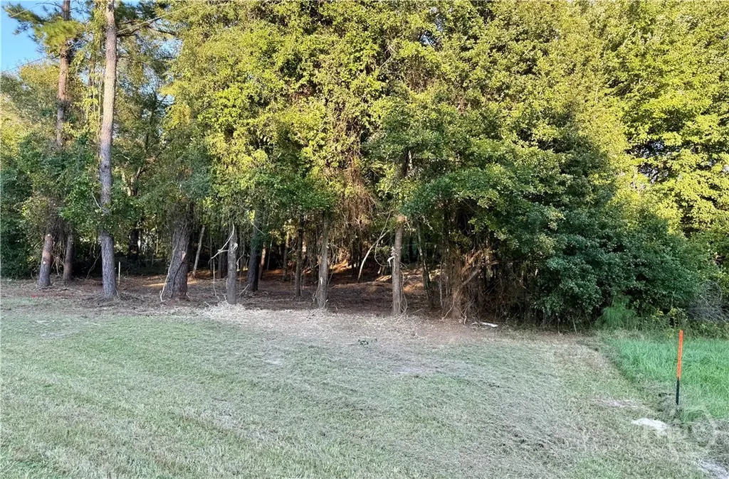 0 Friendship Road Sylvania GA 30467