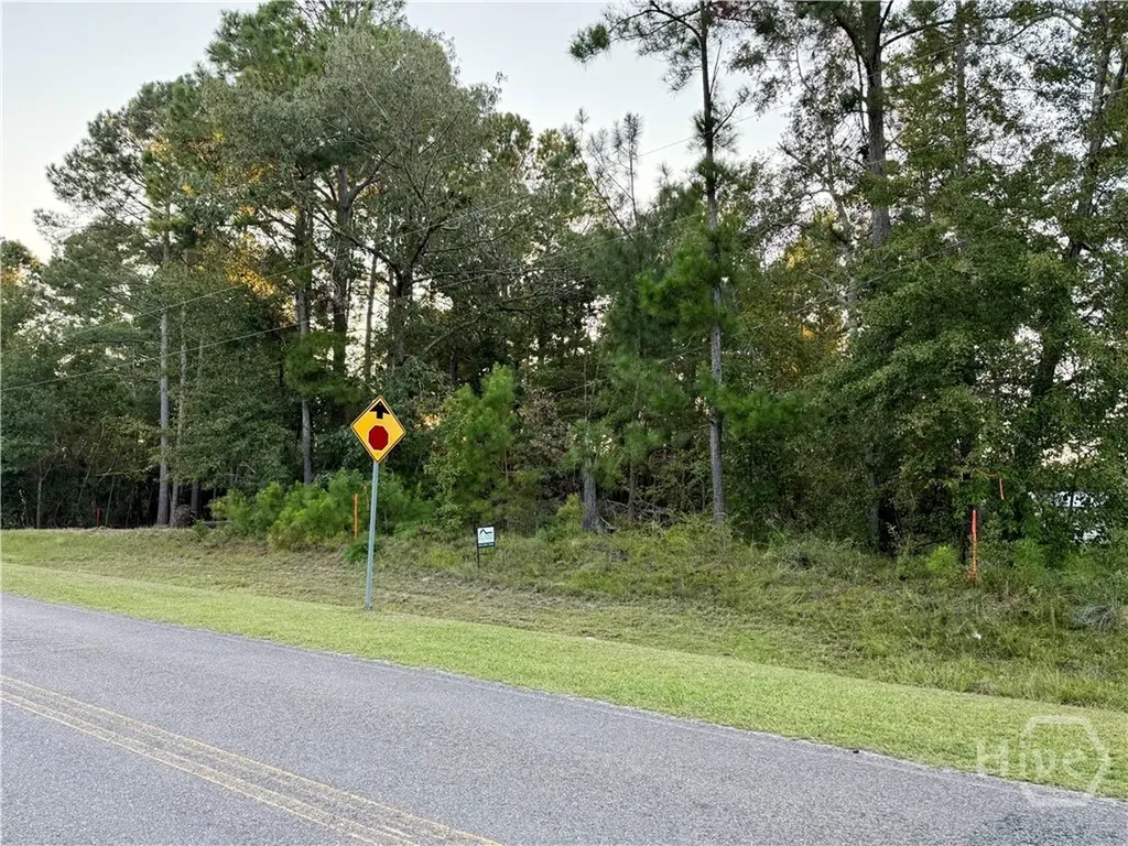 0 Friendship Road Sylvania GA 30467