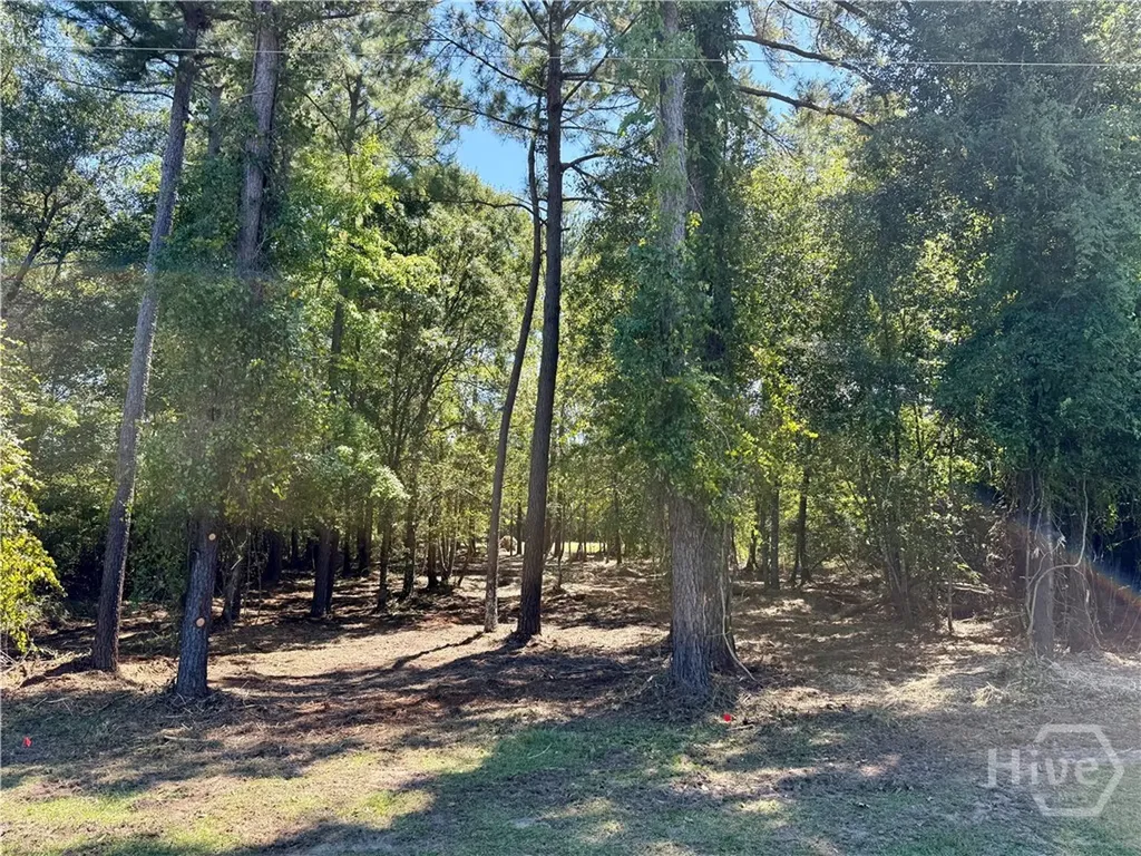 0 Friendship Road Sylvania GA 30467