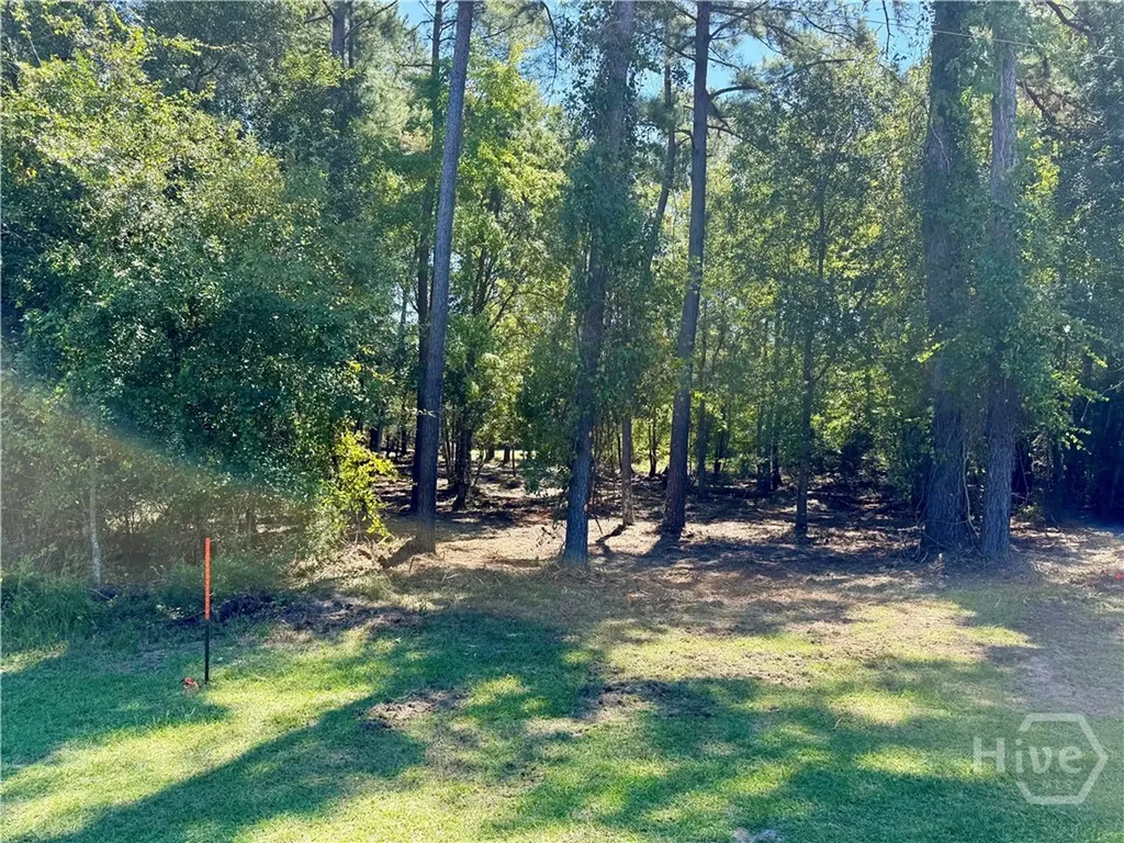 0 Friendship Road Sylvania GA 30467