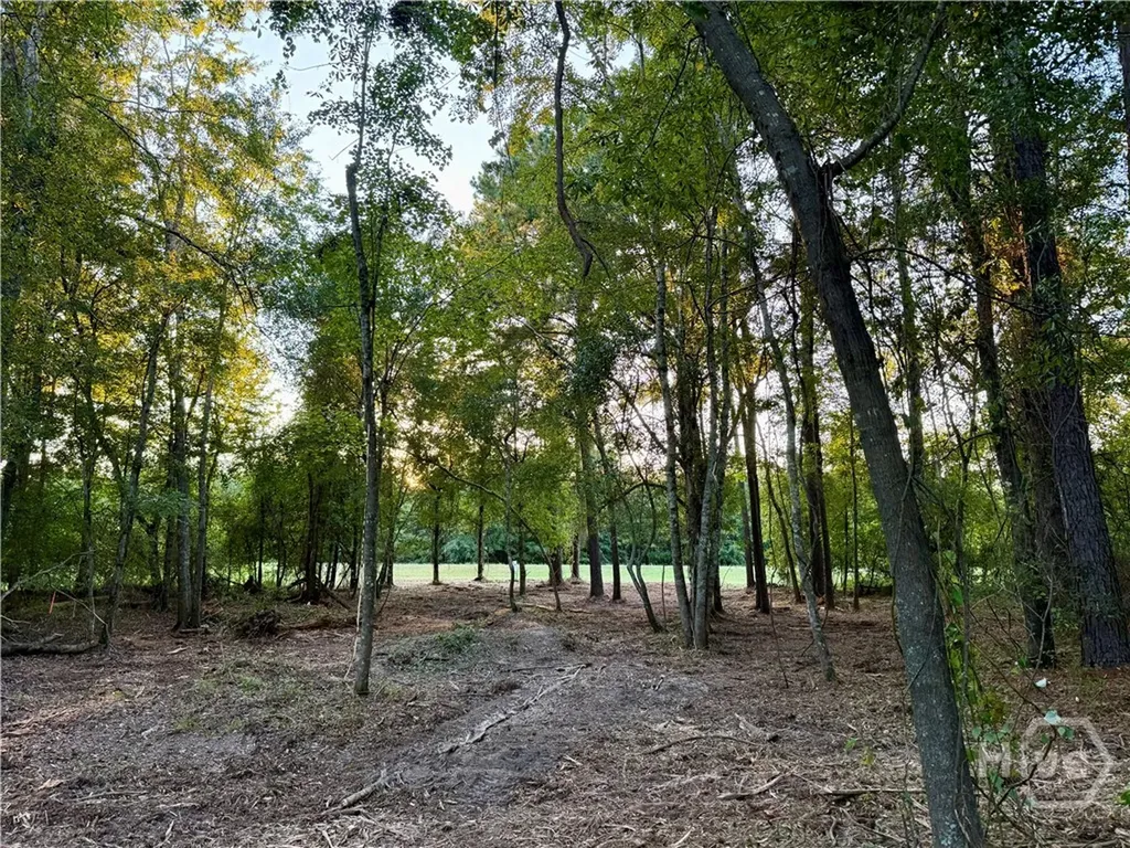 0 Friendship Road Sylvania GA 30467