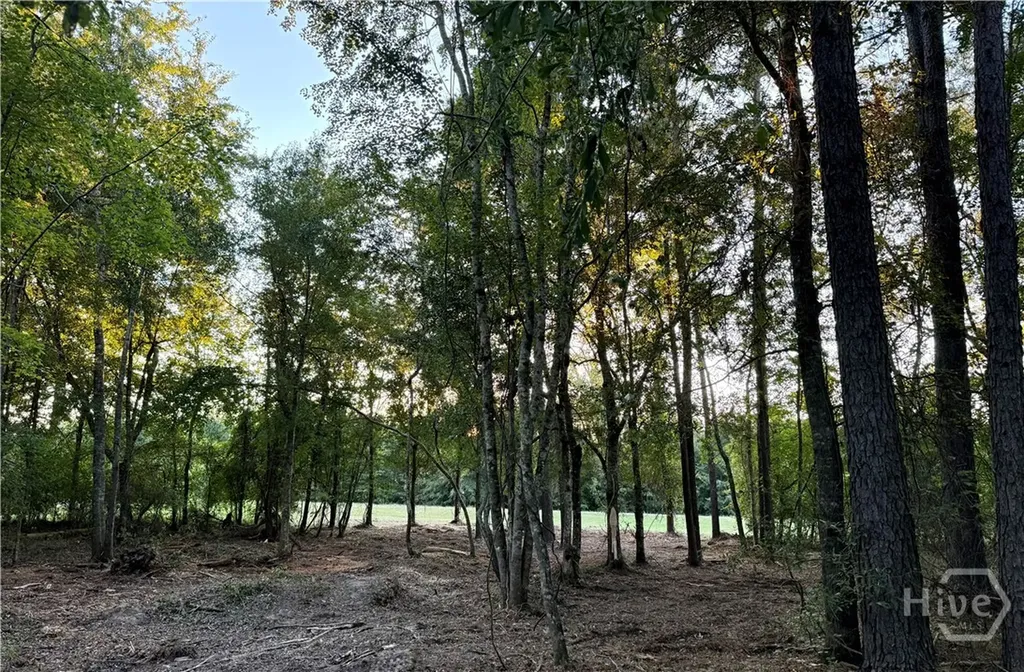 0 Friendship Road Sylvania GA 30467