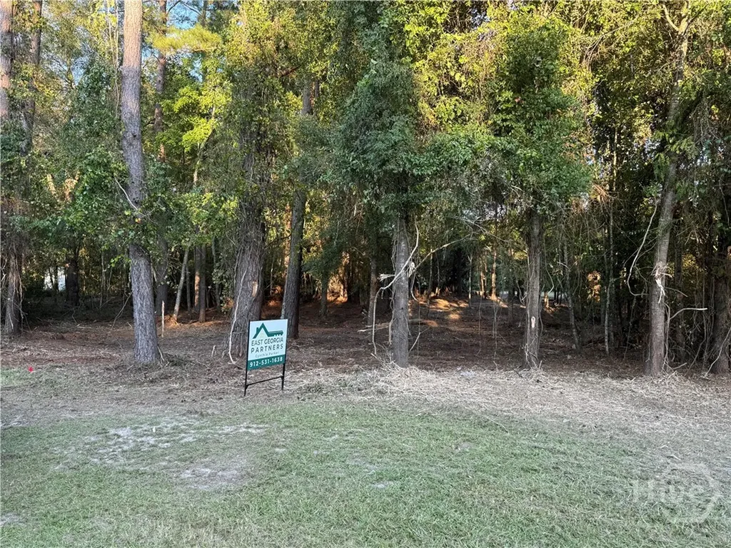 0 Friendship Road Sylvania GA 30467